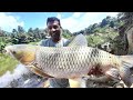 caught a heavy grass carp from Pamba river