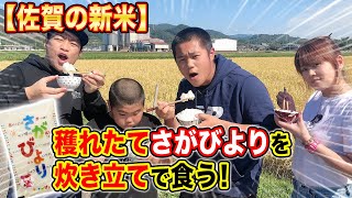 【米の向こう側】青空！稲穂の前！最強ポテンシャルを引き出した炊立てごはんの味にはなわ家大興奮！【さがびより】【飯テロ】【モッパン】