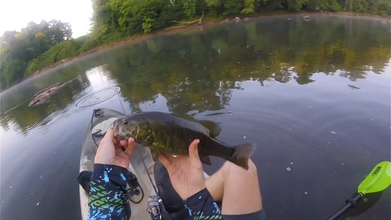 Top Water Smallmouth! (Broad River Bass Fishing)