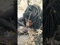Waraana Bilisummaa Oromoo Boli Wbo Oromo ABO Oromobeauty Ethiopian New Ethiopianews Fano Fetadaily 