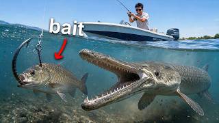 Whatever I Caught Becomes My Bait For Something Even Bigger...