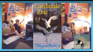 Cardinale Zeit - Breddah NegusSiesta (3:25)