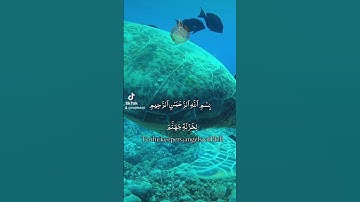 سورة غافر Surah Ghafir الأية 49و50 القرآن الكريم #راحة_نفسية #محبي_القرأن_الكريم #الخشوع #القران