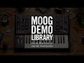Grandmother | Randomized Filter Envelope Modulation