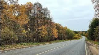 Kesepian Cover by Prilly Latuconsina feat. Kevin Aprilio