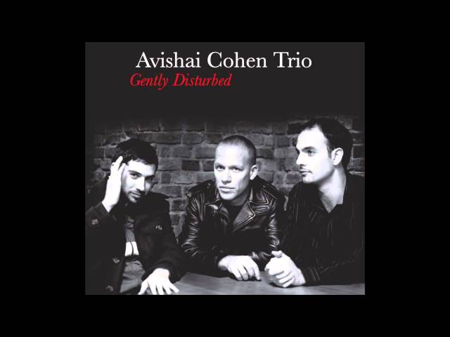 Avishai Cohen - Eleven Wives