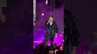 Sefo - Tutsak Resimi