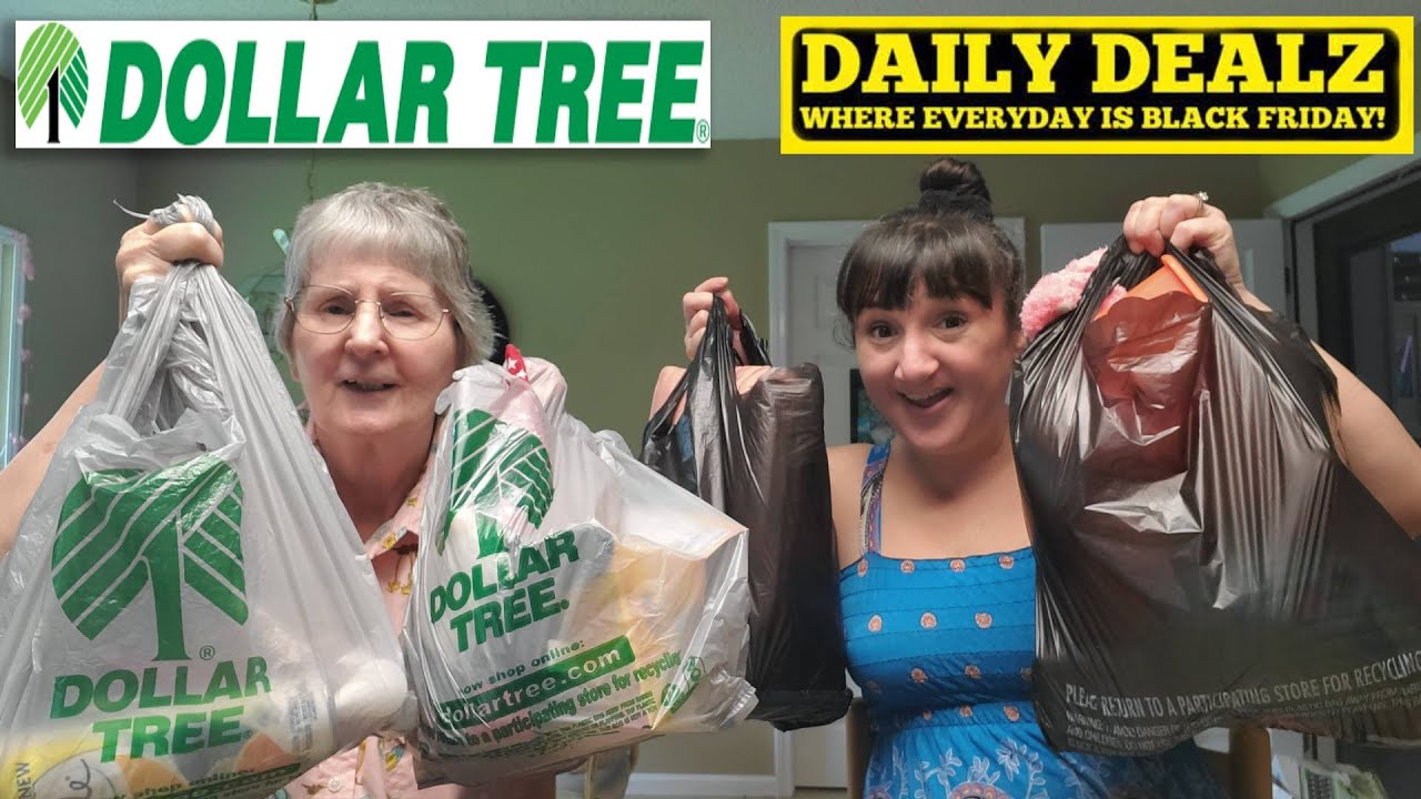 My Mom's DOLLAR TREE And DAILY DEALZ Haul | I Made Out Like A Bandit