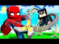 Minecraft with Overpowered Superheroes