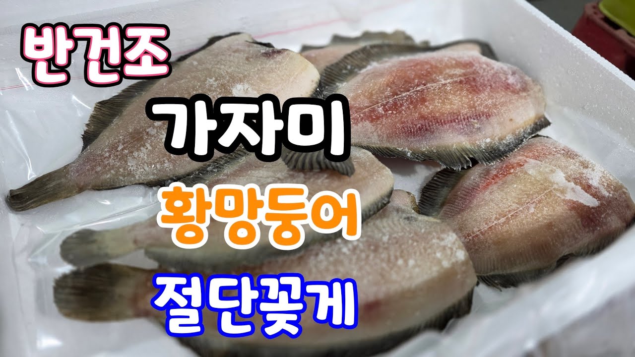 반건조 생선! 가지미,황망둥어,절단꽂게!  생방송