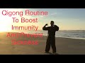 20 Minute Qigong Daily Routine to Boost Immunity and Prevent Sickness ( Silent )