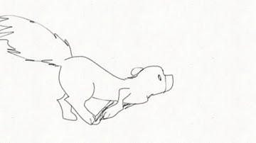 Squirrel running (test) (Flipaclip)