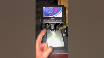 Explore the Tiny World with a Cool New Microscope #microscope #coins