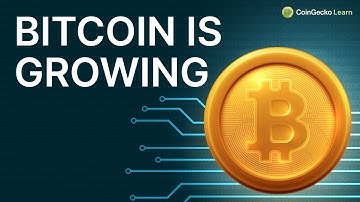 What Is Bitcoin DeFi? Beginner