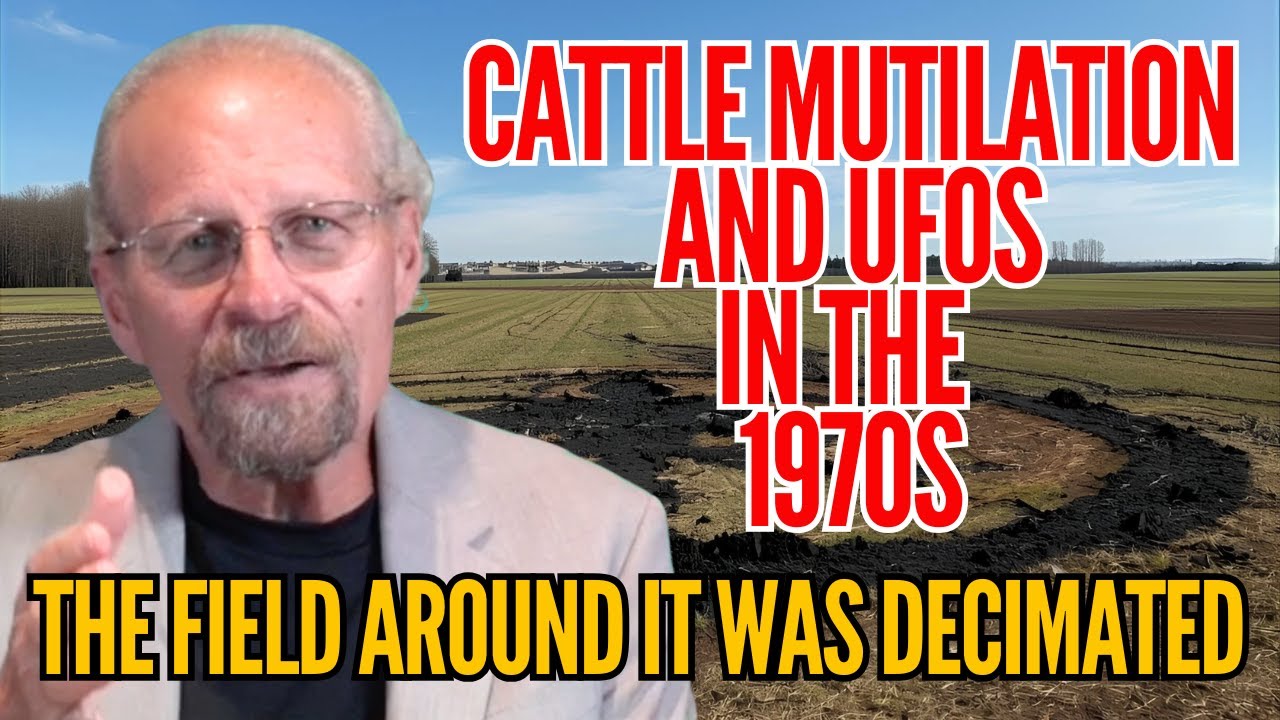 Феномен увечья скота существует уже ДЕСЯТИЛЕТИЯ!