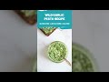 Wild garlic pesto vegan oilfree glutenfree