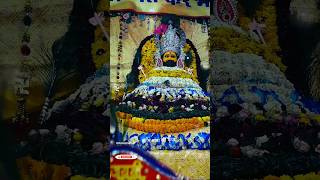 🌹जय श्री श्याम बाबा🙏#ShyamBaba#KhatuShyam#JaiShyam#ShyamPremi#BhaktiShorts