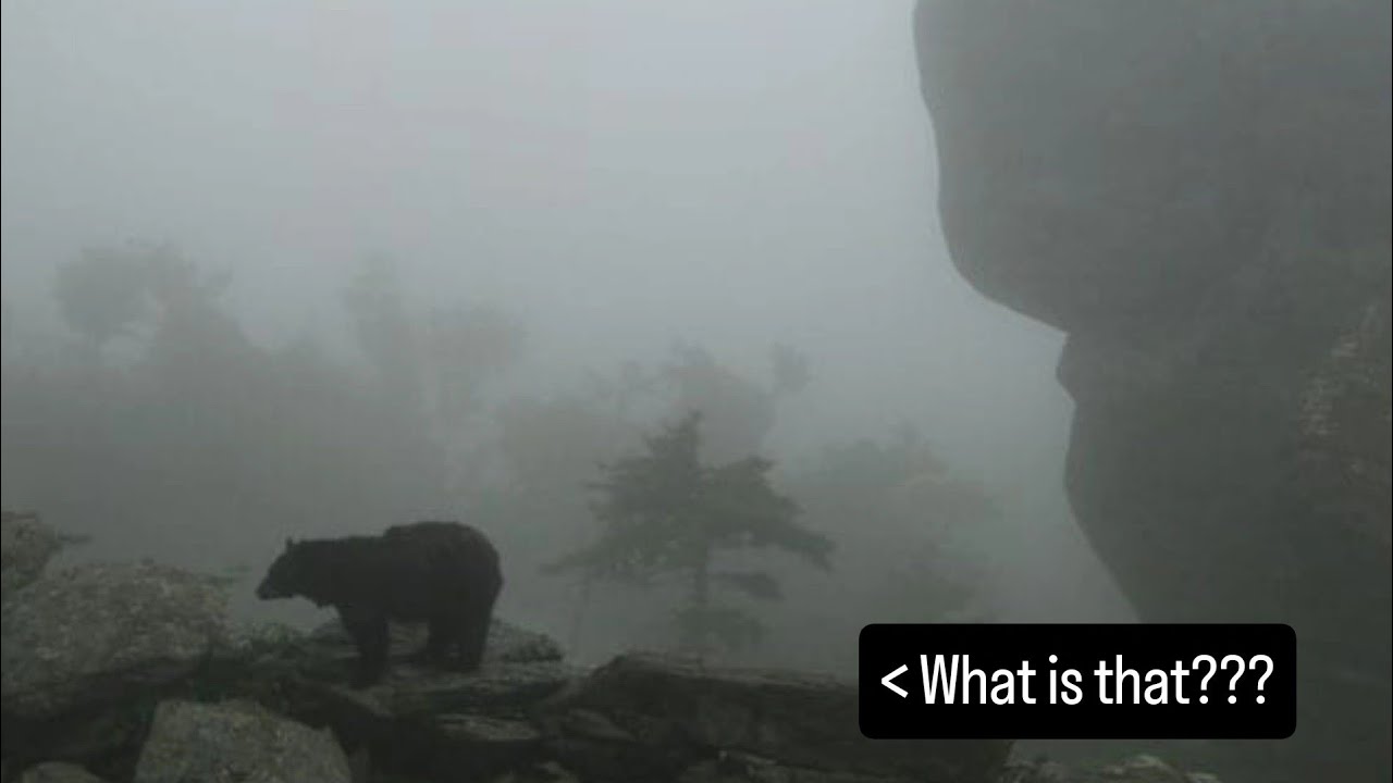 My First Time Fasting (Fasting is an Investment)