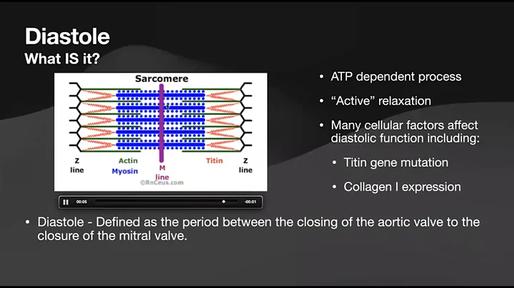 Echocardiographic Assessment of Diastolic Function