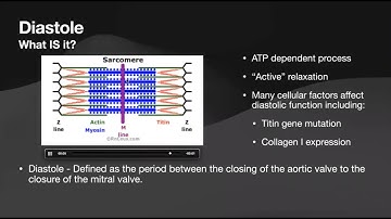 Echocardiographic Assessment of Diastolic Function
