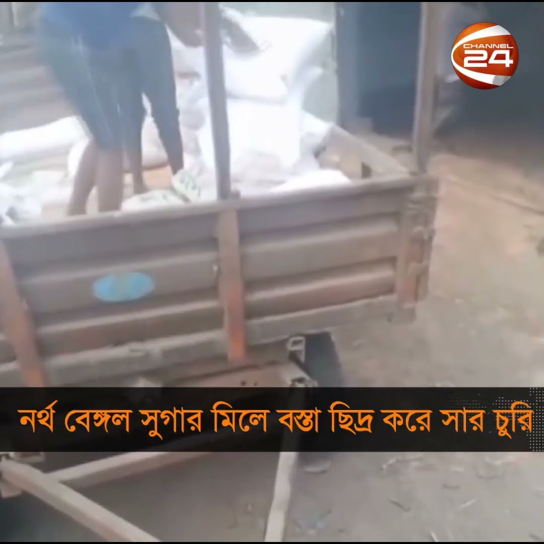 নাটোরের নর্থ বেঙ্গল সুগার মিলে বস্তা ছিদ্র করে সার চুরি #NatorNews #Channel24
