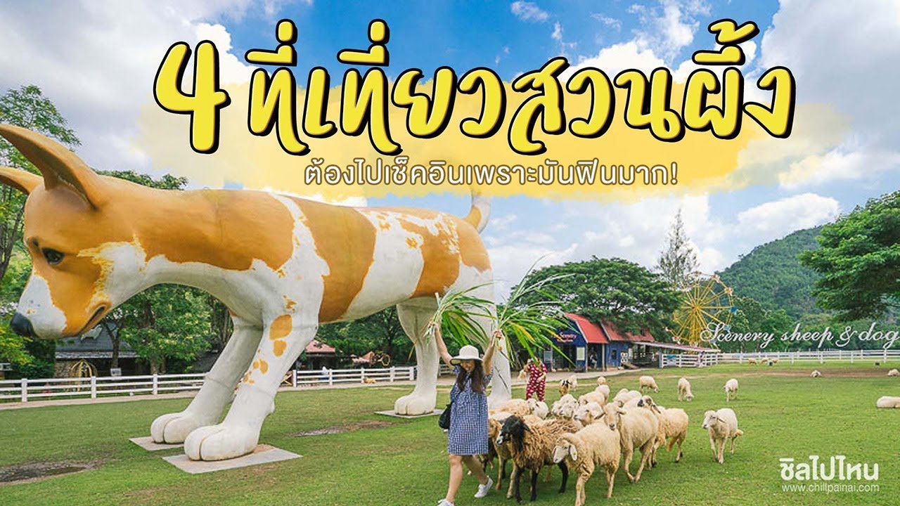 4 ที่เที่ยวสวนผึ้ง ต้องไปเช็คอินเพราะมันฟินมาก! | สรุปเนื้อหาที่เกี่ยวข้องร้านอาหาร สวนผึ้งที่สมบูรณ์ที่สุด