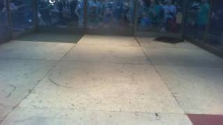 Seattle Bot Bash 2016 Live stream 1
