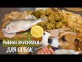 ПРОСТЫЕ РЕЦЕПТЫ ВКУСНЕЙШИХ ЛАКОМСТВ ДЛЯ СОБАК | &quot;пахучие&quot; и полезные лакомства из РЫБЫ