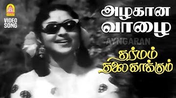 Azhagaana Vaazhai - HD Video Song | அழகான வாழை |Dharmam Thalai Kaakkum | MGR | B Saroja Devi | KVM