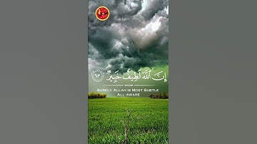 سورة الحج الاية 63 / Surah Al-Hajj Ayat 63
