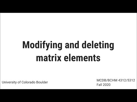Modifying and deleting matrix elements
