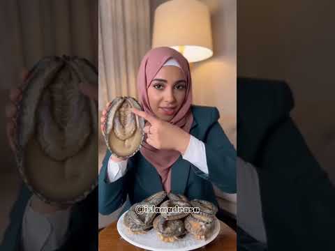 Islam Schoolgirl Student Pupil Classmates 