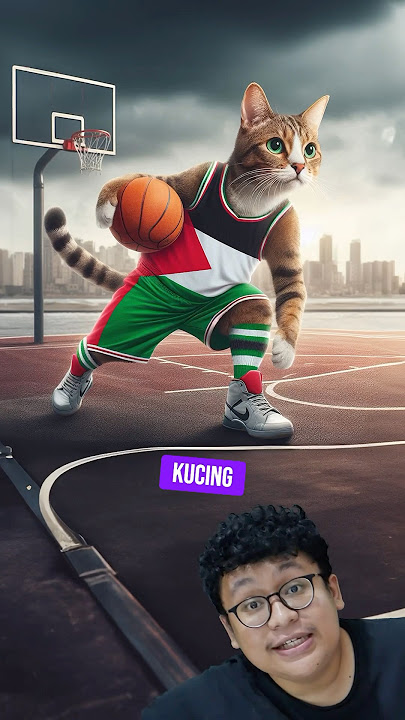PARA KUCING OLAHRAGA 😻😻❤️🏀 #catvideos #cutecats #lucu