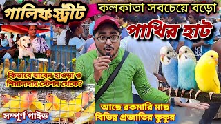 কলকাতা গালিফ স্টিট সবচেয়ে বড়ো পাখির বাজার।সাথে মাছ, খরগোশ, কুকুর | Kolkata gallif Street Pet Market