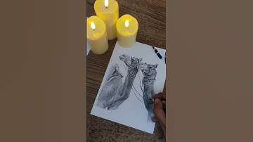 charcoal sketch #drawing #charcoaldrawing #art #sketch #viral #trending #video #viralvideo #shorts