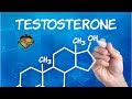 CITV 2 - Hormones Causing Brain Fog and Fatigue? - Video Case Review