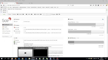 Solr RCE- CVE-2019-0193-Demo