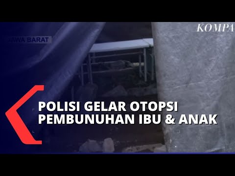 Video: Apa Yang Harus Dilakukan Jika Polisi Rusak?