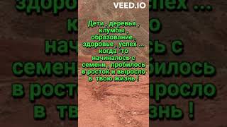 Разочарование или счастье - это решаешь только ты ! Начинается всё  с семени ! Качество - за тобой !