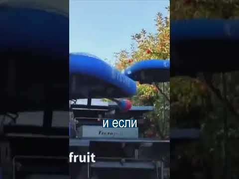 Летающие дроны собирают
