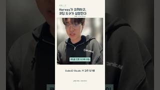 Hermes Agent 모델 설정과 코딩 위임, 헷갈리는 차이 정리