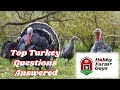 The hobby farm guys answer the top questions about raising turkeys