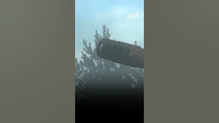 Russia Shows Mobilised Soldiers Using 'Hyacinth' Artillery Field Gun - DayDayNews