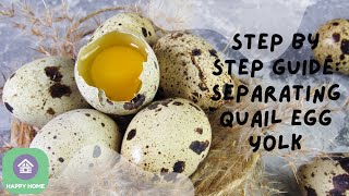 Separating Quail Egg Yolk And White Step-By-Step Guide