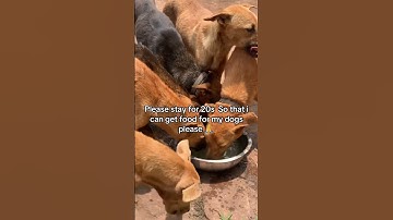 For any support click link in our channel description to donate. Every little bit counts