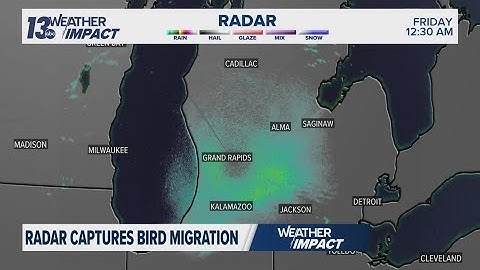 Bird migration has been captured on radar the past few nights