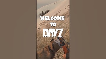 DayZ in a nutshell #shorts #dayz