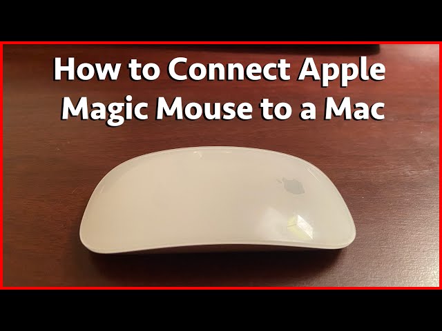 Apple Magic Mouse – Tech to School