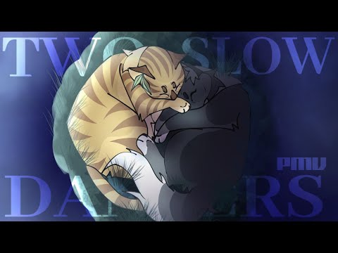 💔🌀TWO SLOW DANCERS || PMV STORYBOARD || WARRIOR OC'S HISTORY ||🌀💔