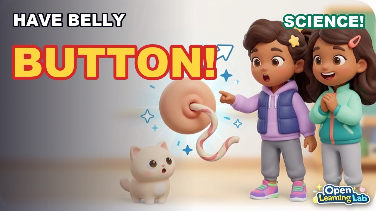 Why Do We Have a Belly Button?